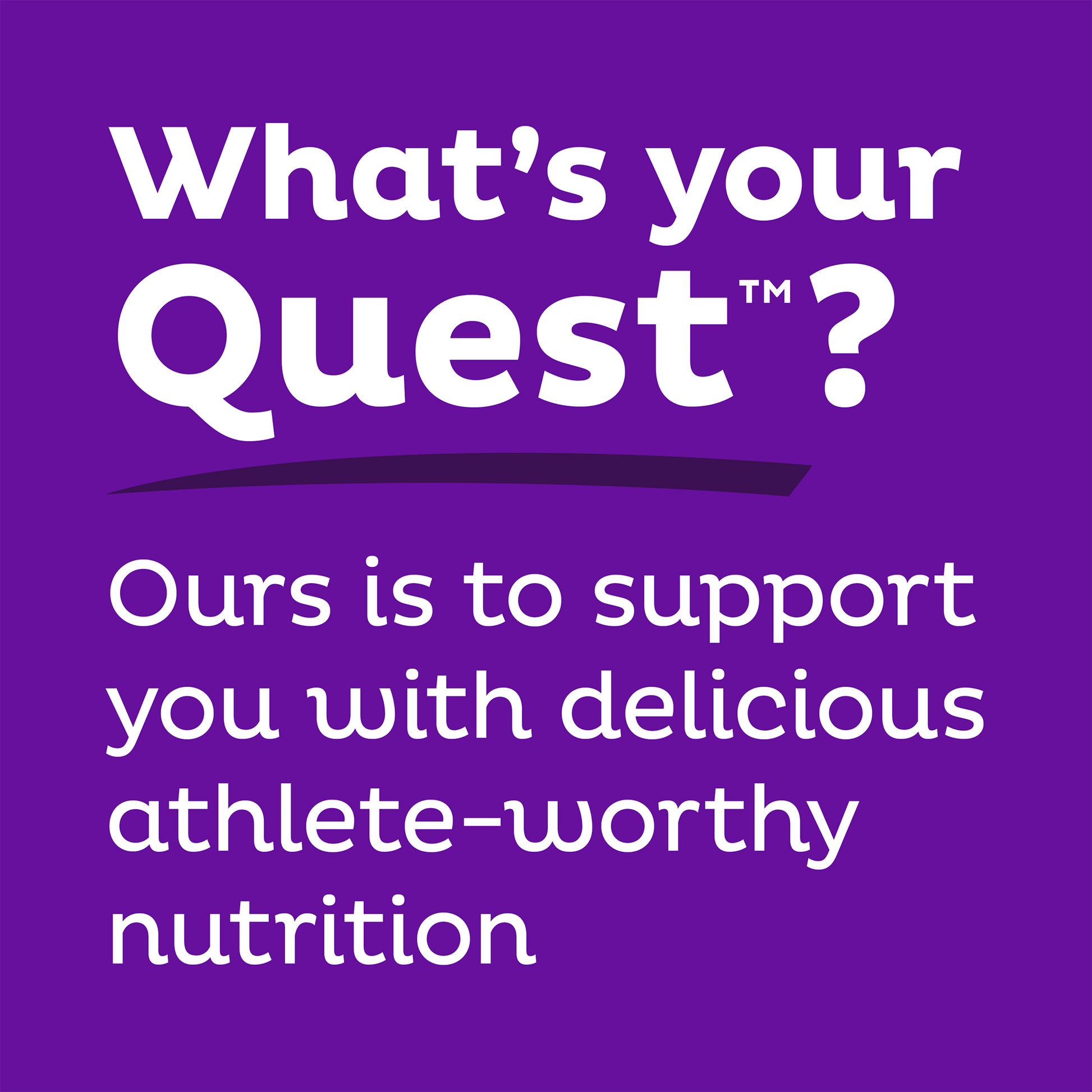 double-chocolate-chunk-protein-bars-u9 qst-000241_double-chocolate-chunk-protein-bars_9.png